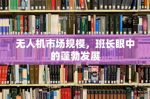 无人机市场规模，班长眼中的蓬勃发展