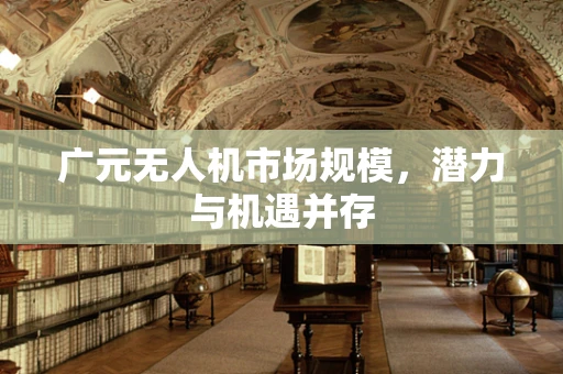 广元无人机市场规模，潜力与机遇并存