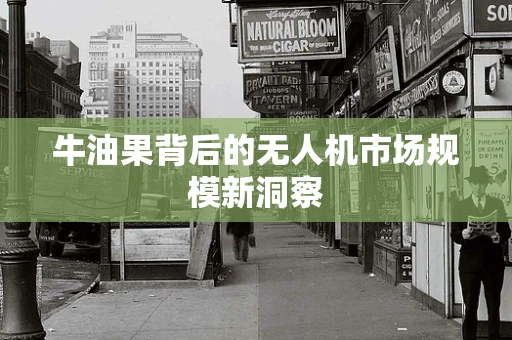 牛油果背后的无人机市场规模新洞察