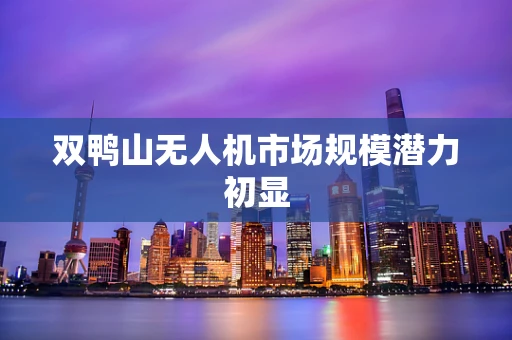 双鸭山无人机市场规模潜力初显