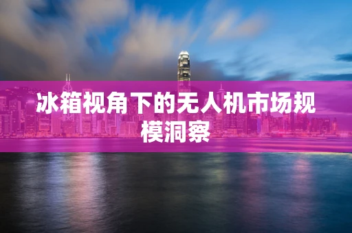 冰箱视角下的无人机市场规模洞察