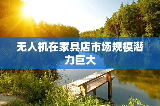 无人机在家具店市场规模潜力巨大