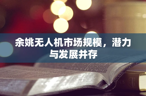 余姚无人机市场规模，潜力与发展并存