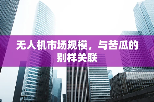 无人机市场规模，与苦瓜的别样关联