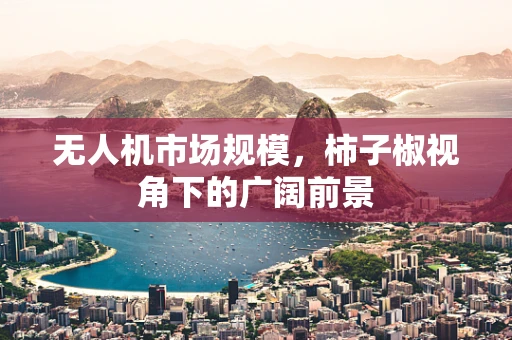 无人机市场规模，柿子椒视角下的广阔前景