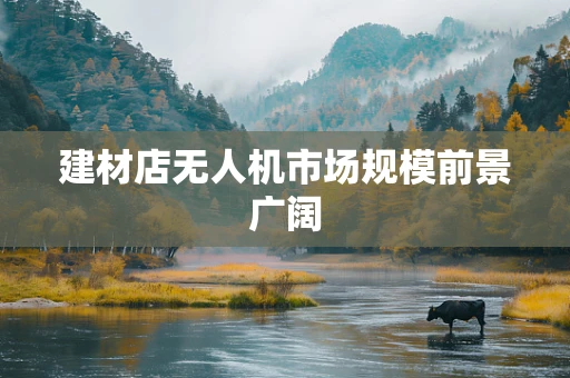建材店无人机市场规模前景广阔