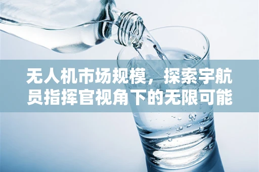 无人机市场规模，探索宇航员指挥官视角下的无限可能