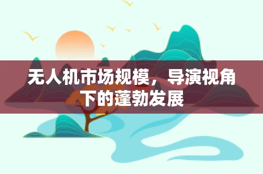 无人机市场规模，导演视角下的蓬勃发展