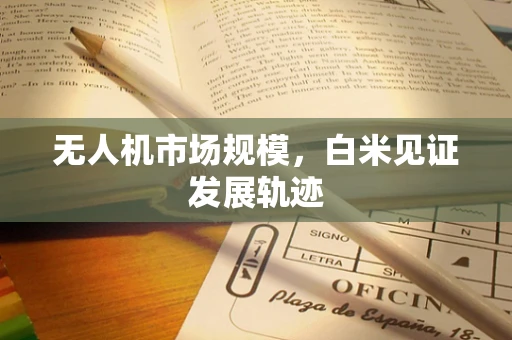无人机市场规模，白米见证发展轨迹