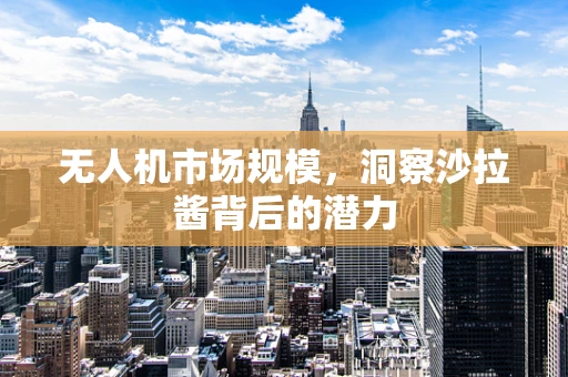 无人机市场规模，洞察沙拉酱背后的潜力
