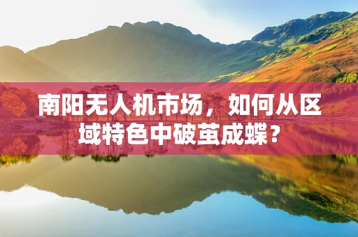 南阳无人机市场，如何从区域特色中破茧成蝶？