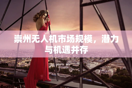 崇州无人机市场规模，潜力与机遇并存