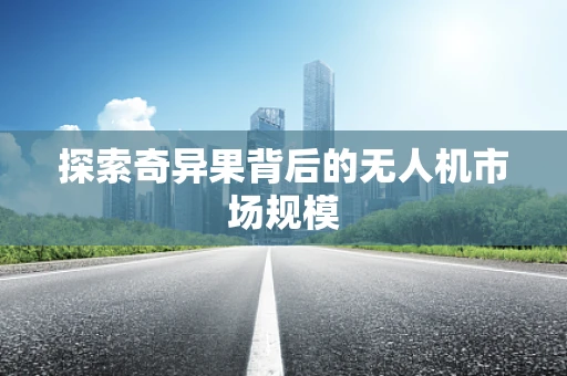 探索奇异果背后的无人机市场规模
