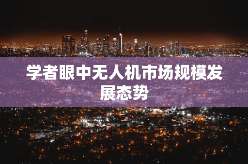 学者眼中无人机市场规模发展态势