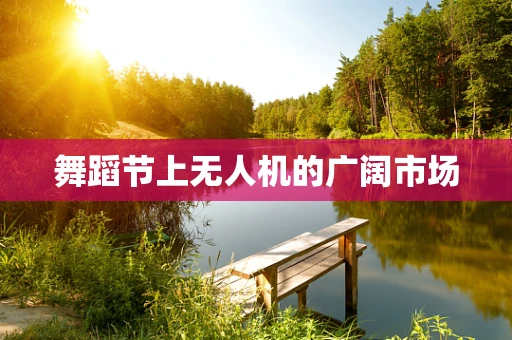 舞蹈节上无人机的广阔市场