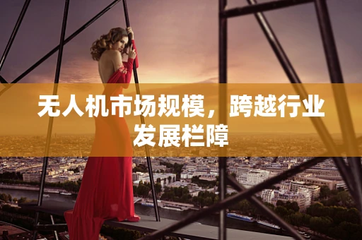 无人机市场规模，跨越行业发展栏障