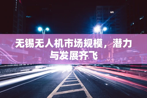 无锡无人机市场规模，潜力与发展齐飞