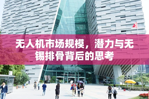 无人机市场规模，潜力与无锡排骨背后的思考