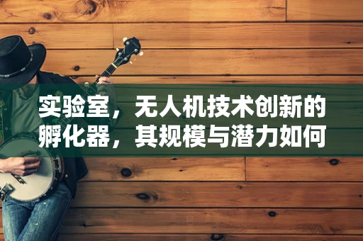 实验室，无人机技术创新的孵化器，其规模与潜力如何衡量？