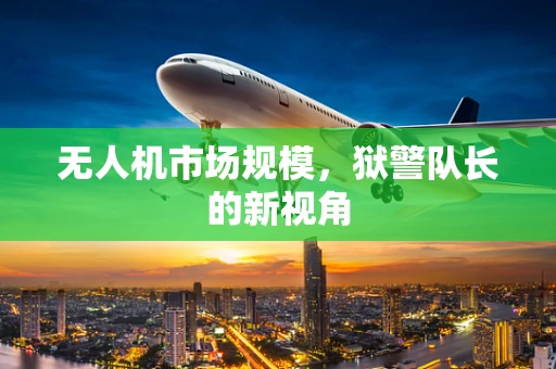 无人机市场规模，狱警队长的新视角