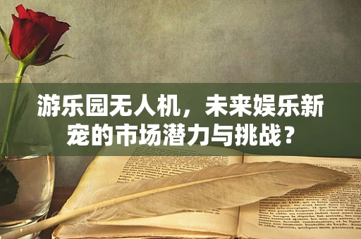 游乐园无人机，未来娱乐新宠的市场潜力与挑战？