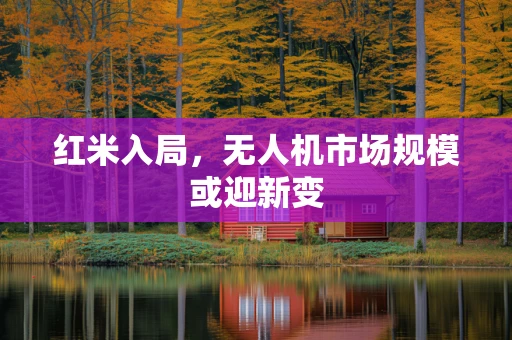 红米入局，无人机市场规模或迎新变