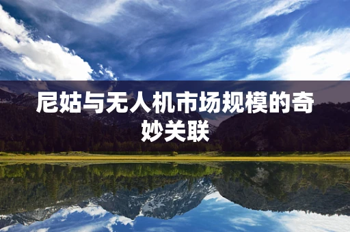尼姑与无人机市场规模的奇妙关联