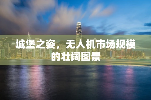 城堡之姿，无人机市场规模的壮阔图景