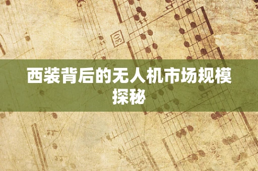 西装背后的无人机市场规模探秘