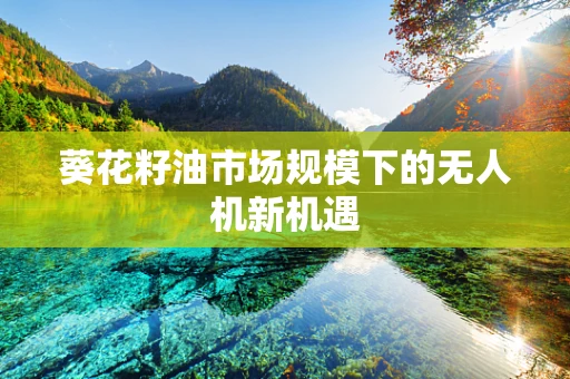 葵花籽油市场规模下的无人机新机遇