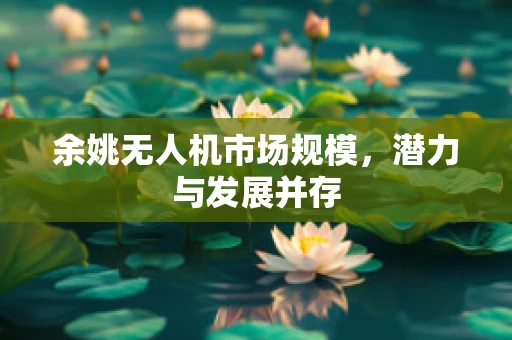 余姚无人机市场规模，潜力与发展并存
