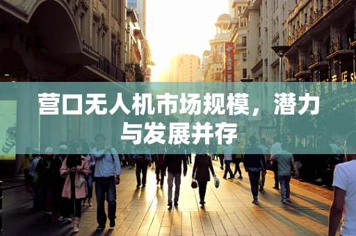 营口无人机市场规模，潜力与发展并存