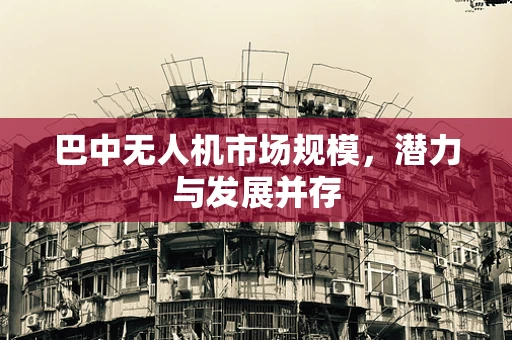 巴中无人机市场规模，潜力与发展并存