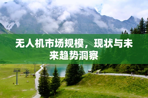 无人机市场规模，现状与未来趋势洞察