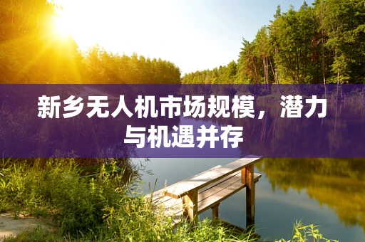 新乡无人机市场规模，潜力与机遇并存
