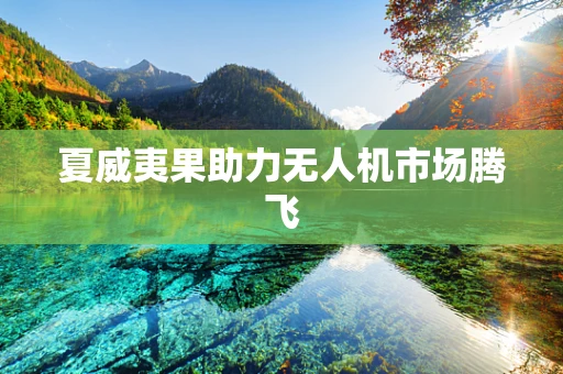 夏威夷果助力无人机市场腾飞