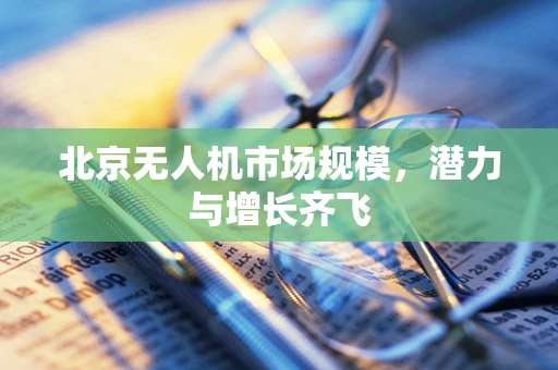 北京无人机市场规模，潜力与增长齐飞