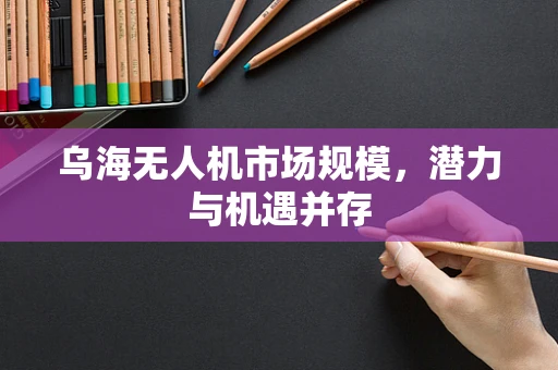 乌海无人机市场规模，潜力与机遇并存
