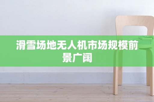 滑雪场地无人机市场规模前景广阔