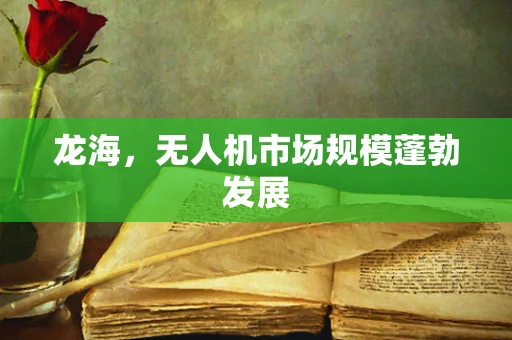 龙海，无人机市场规模蓬勃发展