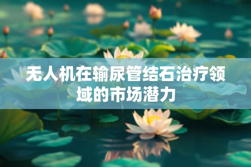 无人机在输尿管结石治疗领域的市场潜力