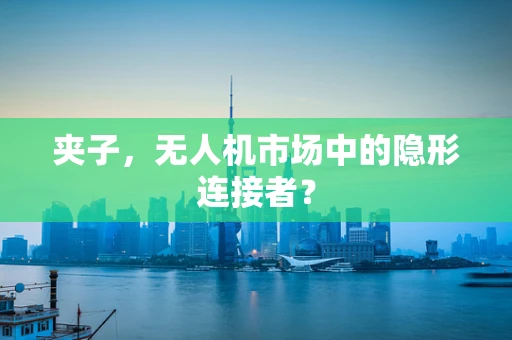 夹子，无人机市场中的隐形连接者？