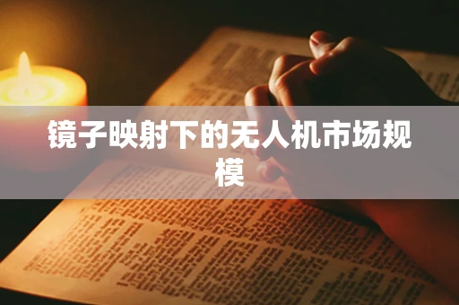 镜子映射下的无人机市场规模