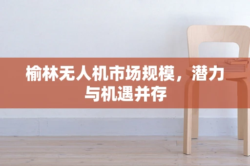 榆林无人机市场规模，潜力与机遇并存
