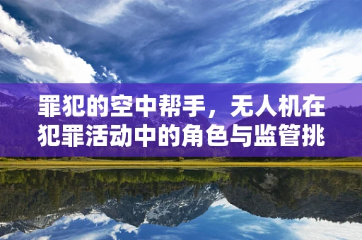 罪犯的空中帮手，无人机在犯罪活动中的角色与监管挑战