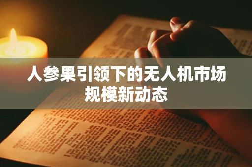 人参果引领下的无人机市场规模新动态