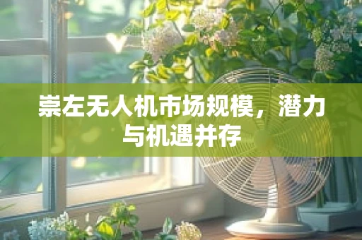 崇左无人机市场规模，潜力与机遇并存