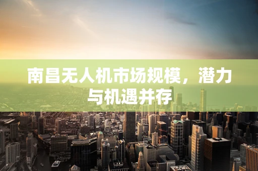 南昌无人机市场规模，潜力与机遇并存