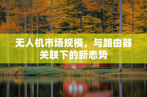 无人机市场规模，与路由器关联下的新态势