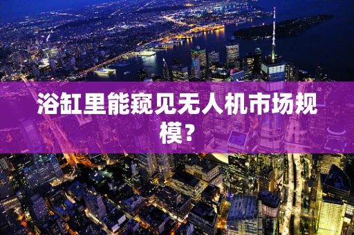 浴缸里能窥见无人机市场规模？